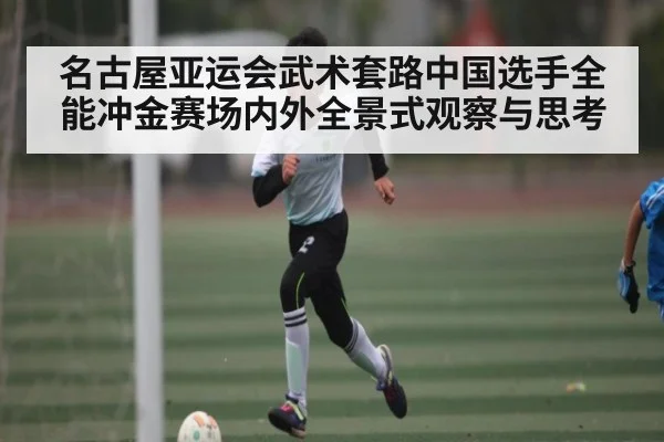 名古屋亚运会武术套路中国选手全能冲金赛场内外全景式观察与思考